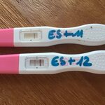 Schwangerschaftstest: Hoffen auf die zweite Linie - Wirbel S